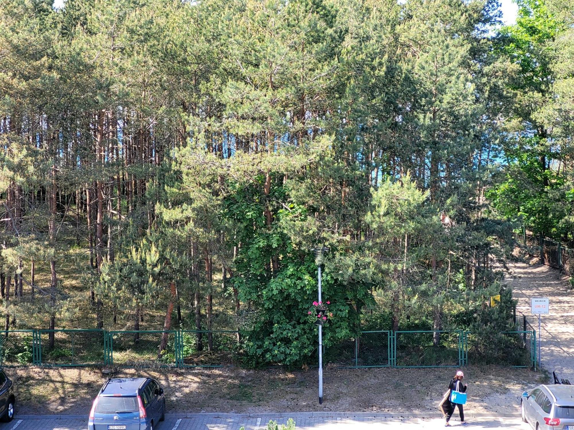 Apartament Renatka Przy Plazy Unieście Zewnętrze zdjęcie